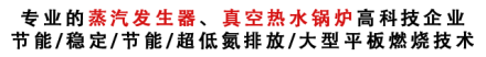 电蒸汽发生器