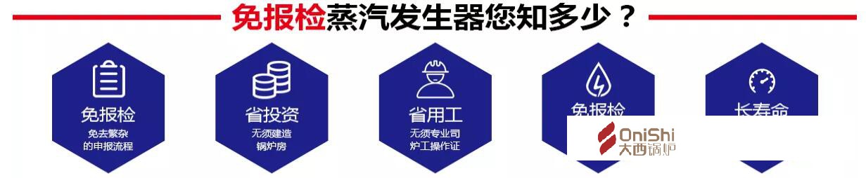 大西热能 燃气蒸汽发生器 优势