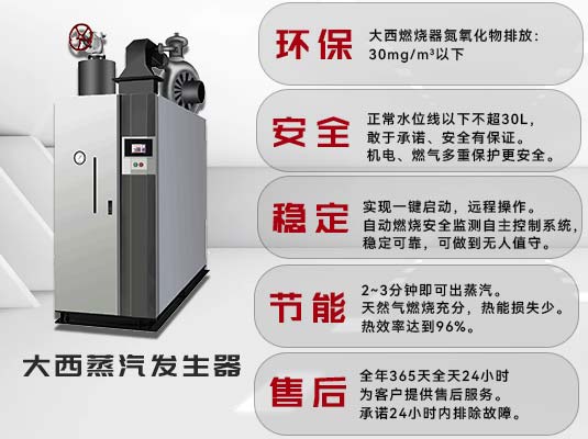 大西锅炉燃气蒸汽发生器